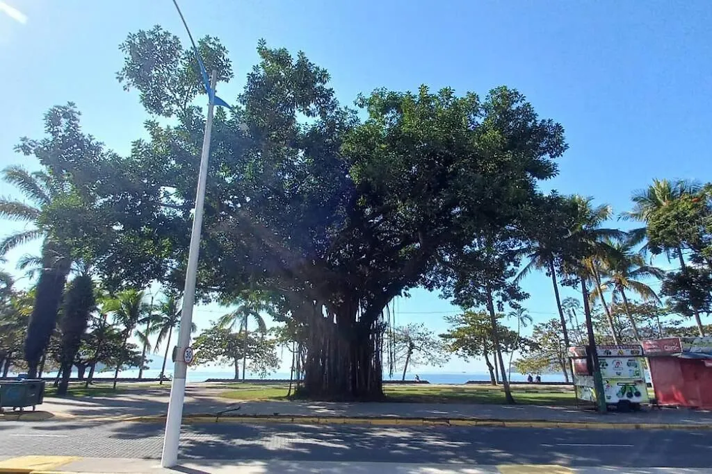 Apartamento Com Vista Pro Mar No Centro De Ubatuba - 2 Quartos E Cozinha Completa